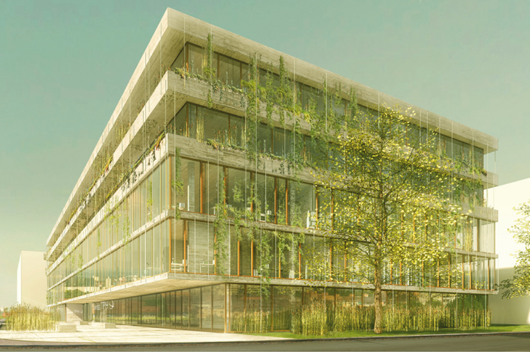 Eine grüne Fassade für das Schweizerische Tropeninstitut Swiss TPH